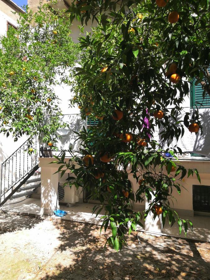 Garden House: Apartments And Rooms For Holidays Palermo Buitenkant foto